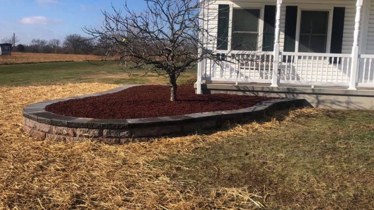 131454357 1519422468250597 8216150831344118078 N