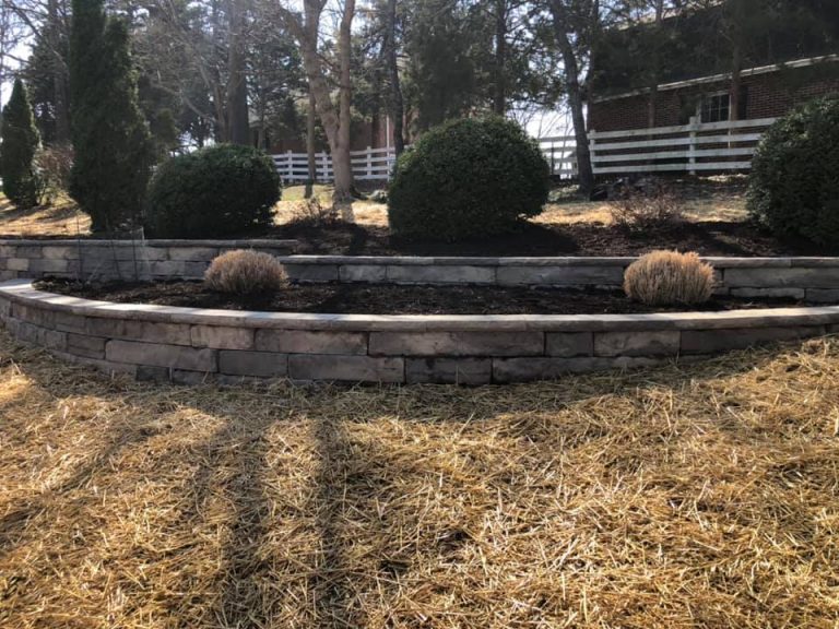 158879128 1575300055996171 98708430323963347 N