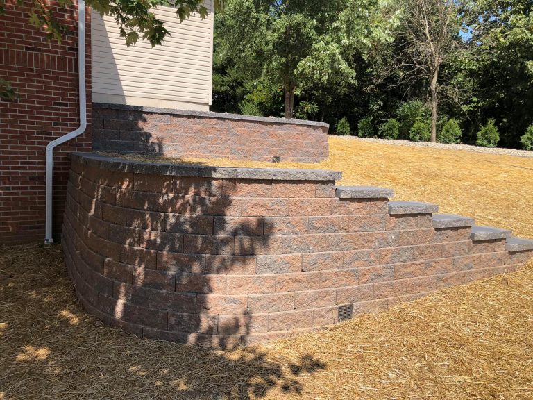 241629899 1703559266503582 500093598264422587 N